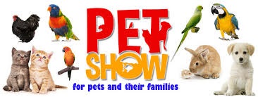 Online Pet Show