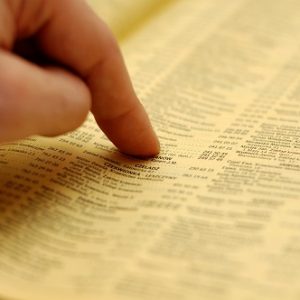 Renew Business Directory Listing Fee - 365 Days